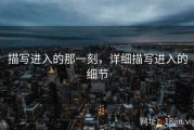 描写进入的那一刻，详细描写进入的细节