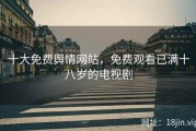 十大免费舆情网站，免费观看已满十八岁的电视剧
