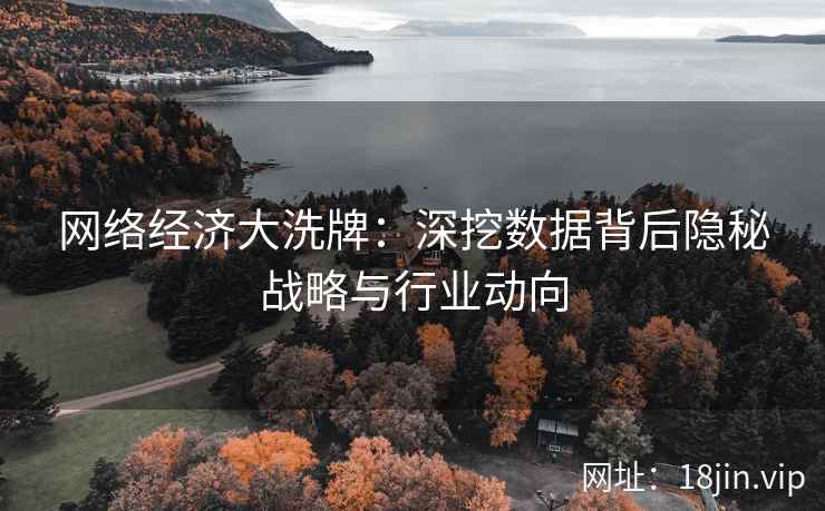 网络经济大洗牌：深挖数据背后隐秘战略与行业动向